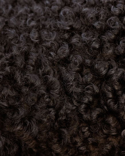 zoom sur des cheveux bouclé noir