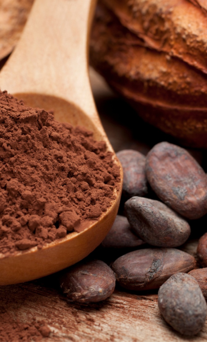 cacao et chocolat noir pour le renouvellement de la peau